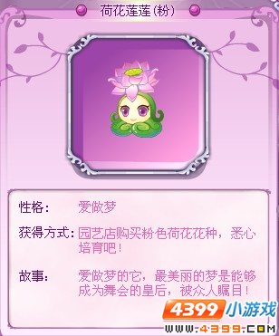 小花仙荷花莲莲（粉）花精灵