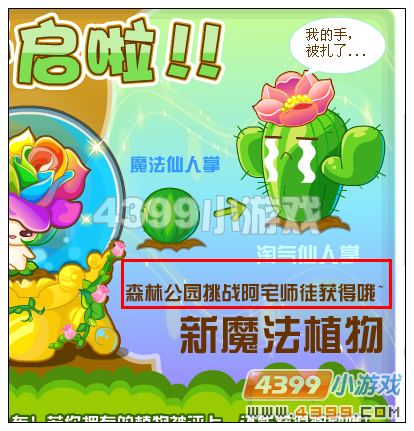 奥比岛怎样获得仙人掌
