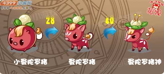 洛克王国曼陀罗猪神进化图