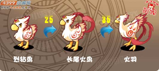 洛克王国火羽进化图