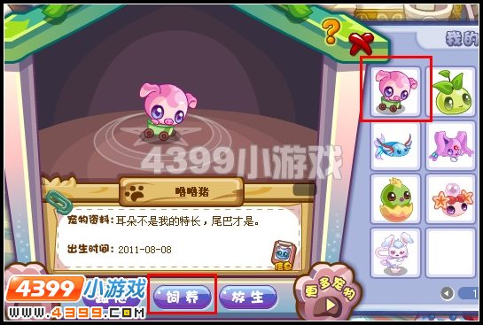 奥雅之光宠物怎么养