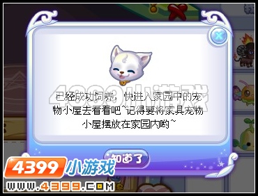 奥雅之光宠物怎么养