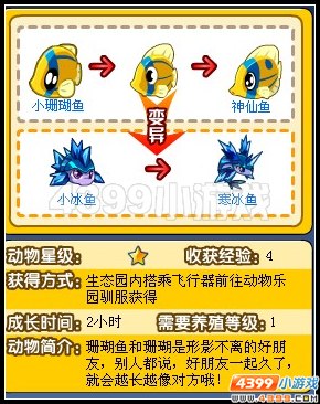 奥拉星小冰鱼在哪里,寒冰鱼在哪怎么抓