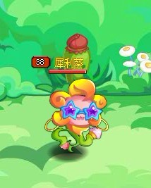 龙斗士犀利葵