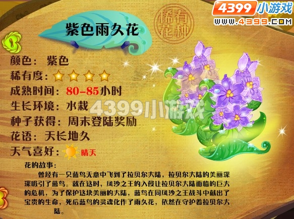 小花仙紫色雨久花