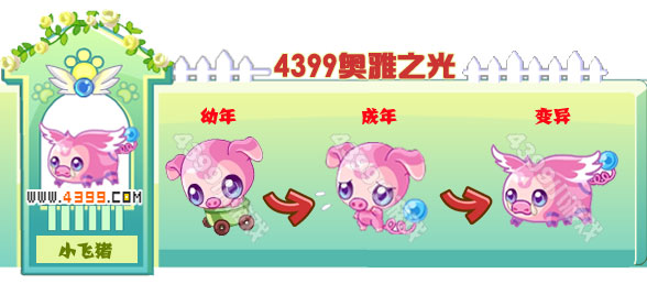 奥雅之光小飞猪