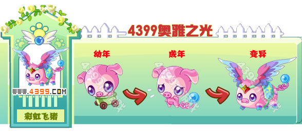 奥雅之光彩虹飞猪