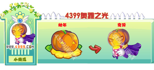 奥雅之光小南瓜