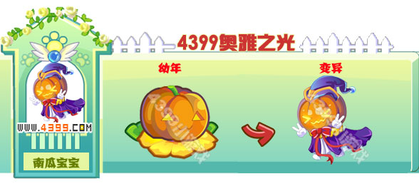 奥雅之光南瓜宝宝