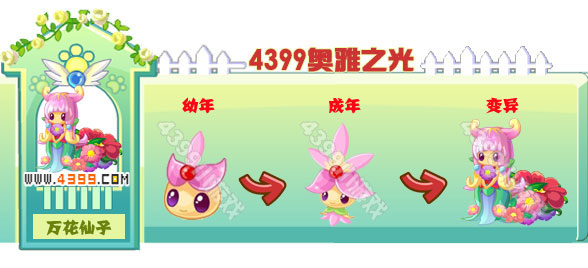 奥雅之光万花仙子