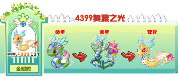 奥雅之光金翅蛇