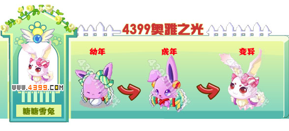 奥雅之光糖糖雪兔