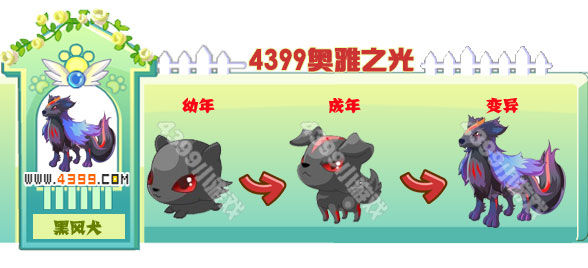 奥雅之光黑风犬