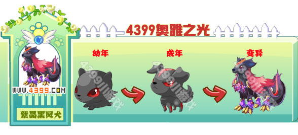 奥雅之光紫晶黑风犬