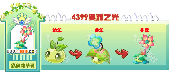 奥雅之光趴趴花草灵