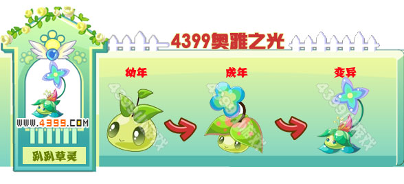 奥雅之光趴趴草灵