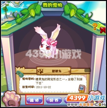 奥雅之光怎样骑宠物