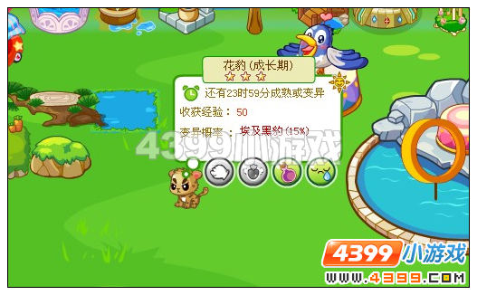 奥比岛埃及黑豹怎么得