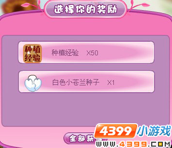 小花仙失踪的兰小小