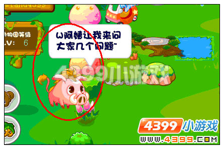 奥比岛动物园问卷得小松鼠