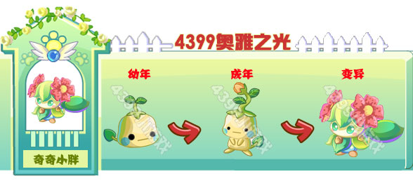 奥雅之光奇奇小胖