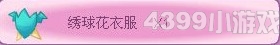 小花仙绣球花套装