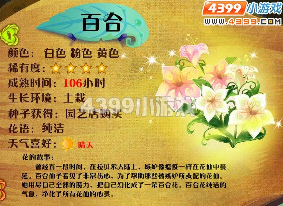 小花仙百合