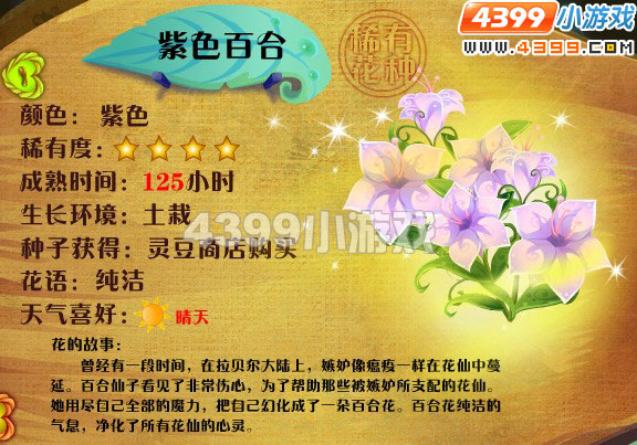 小花仙紫色百合