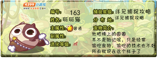 洛克王国斑斑猫