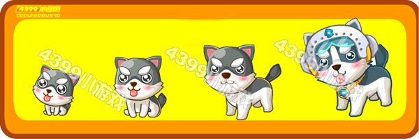 小哈奇士-警犬哈奇士变异进化图鉴及获得方法