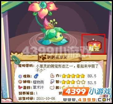 奥雅之光怎样展示宠物