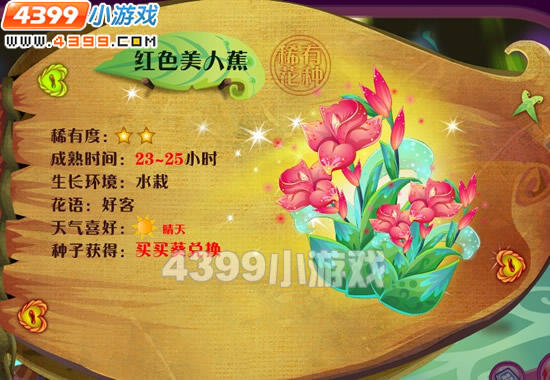 红色美人蕉