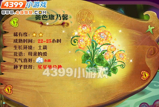 黄色康乃馨