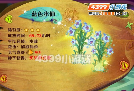 蓝色水仙