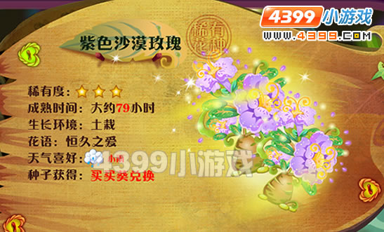 紫色沙漠玫瑰