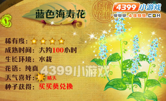 蓝色海寿花