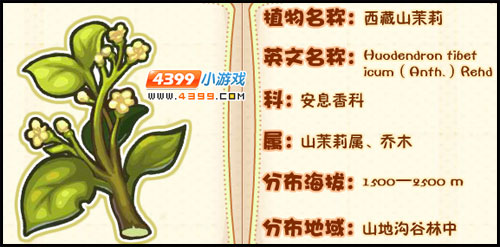 洛克王国莉莉丝植物图鉴
