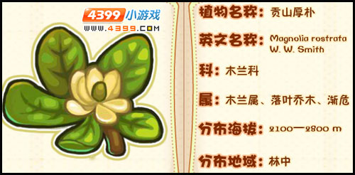 洛克王国莉莉丝植物图鉴