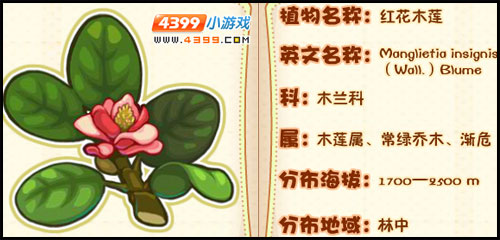洛克王国莉莉丝植物图鉴