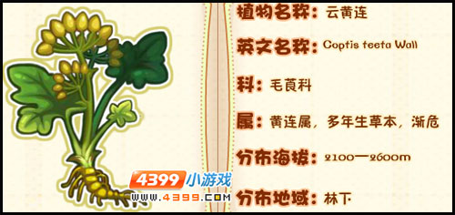 洛克王国莉莉丝植物图鉴