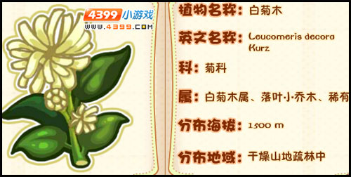 洛克王国薇薇安植物图鉴