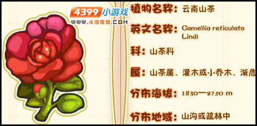 洛克王国薇薇安植物图鉴