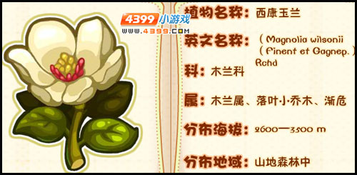 洛克王国薇薇安植物图鉴