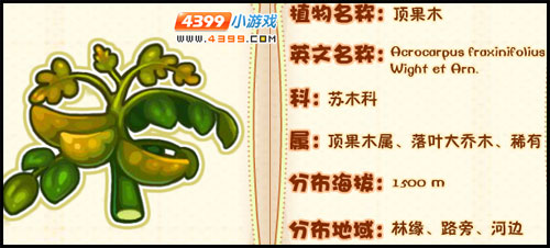 洛克王国薇薇安植物图鉴