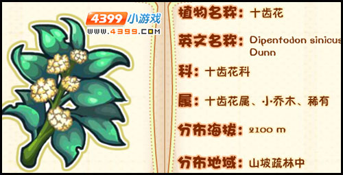 洛克王国薇薇安植物图鉴