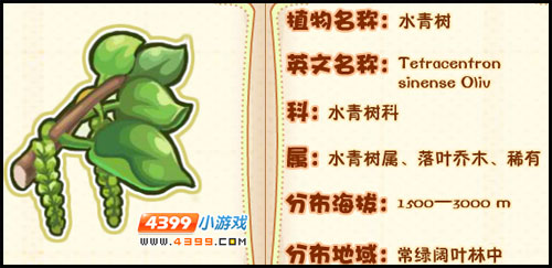 洛克王国薇薇安植物图鉴