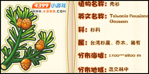 洛克王国薇薇安植物图鉴