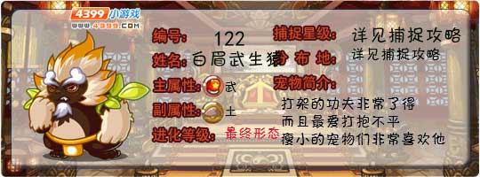 洛克王国白眉武生猿