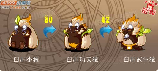 洛克王国白眉小猿进化图