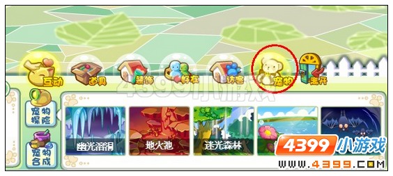 奥雅之光怎么养骑宠